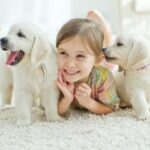 cách làm quen với chó mới mua