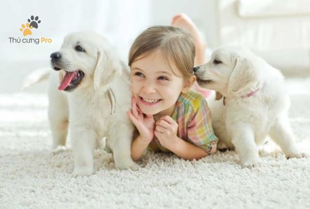cách làm quen với chó mới mua