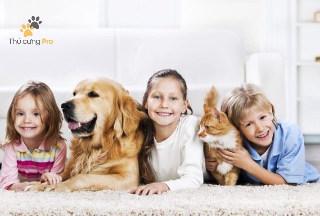Xây Dựng Mối Quan Hệ Tốt Đẹp Với Chó