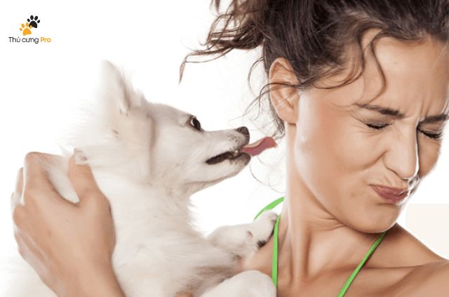 Mùi hôi làm giảm sự đáng yêu của những chú chó